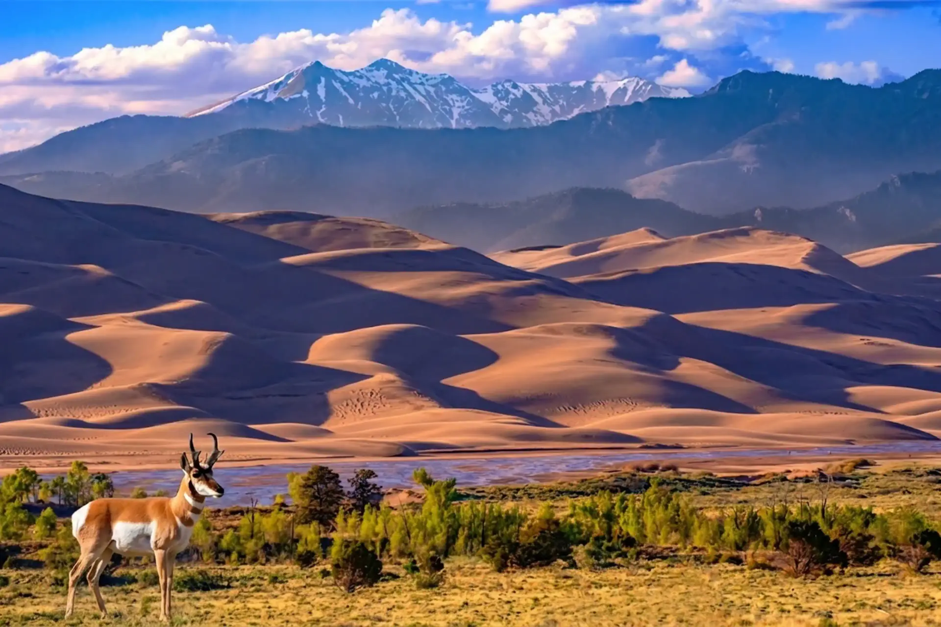 Great Sand Dunes National Park Hat background