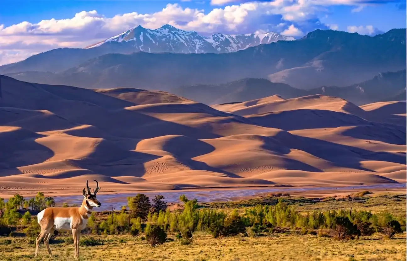 Great Sand Dunes: Medano Creek