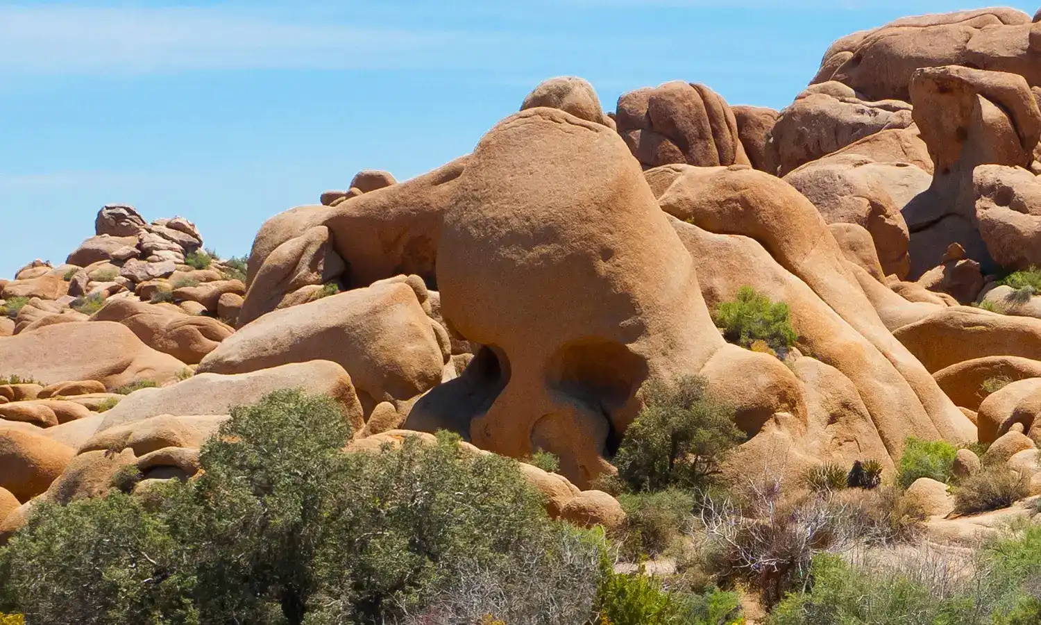 Joshua Tree: Skull Rock