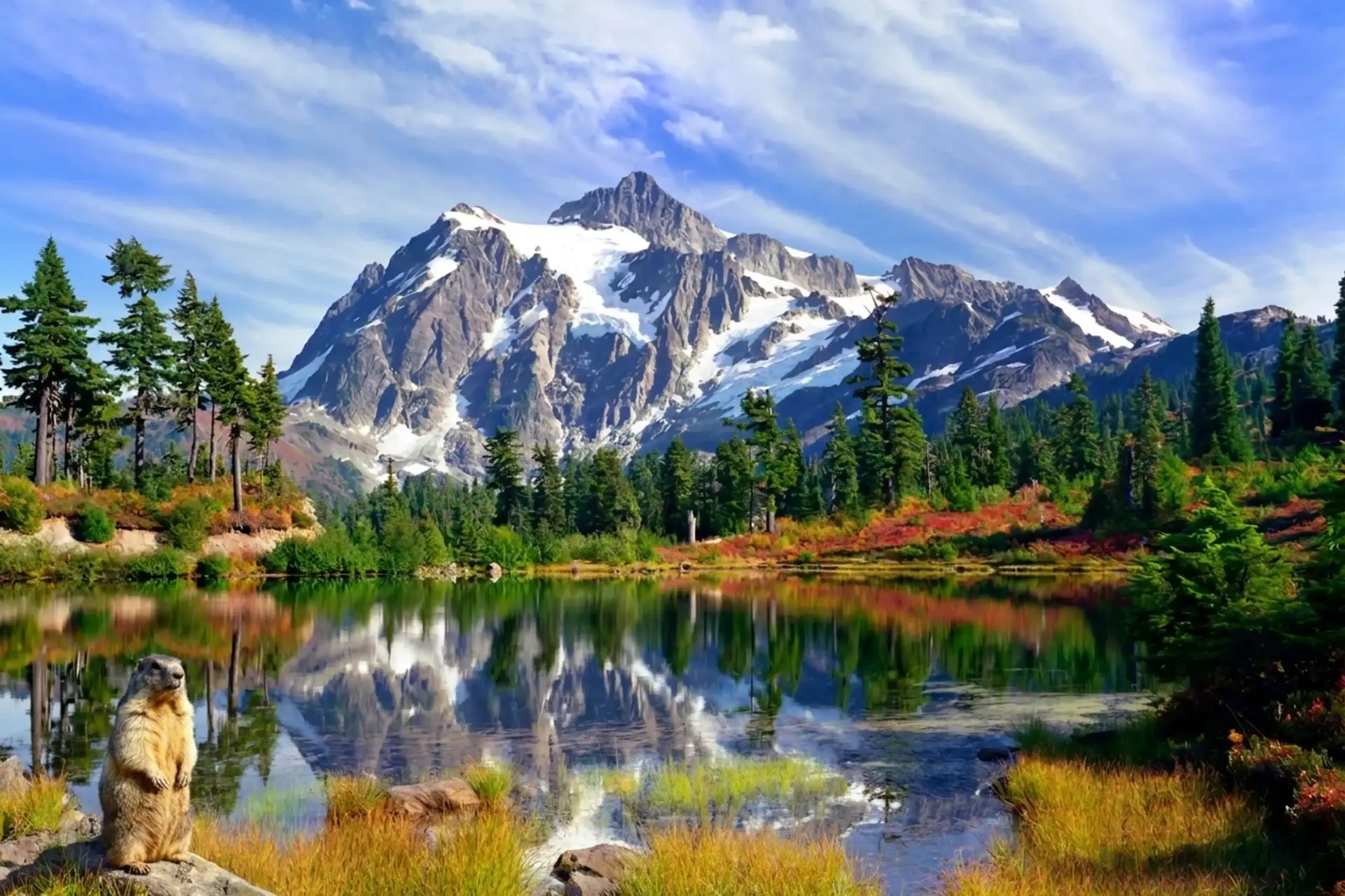 North Cascades National Park Hat background