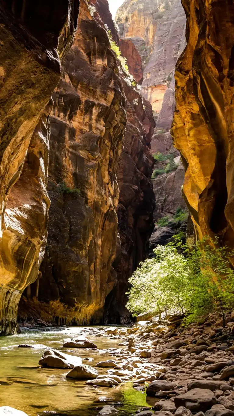 Zion